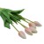 tulipany-bukiet-2.jpg