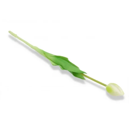 tulipan bukiet