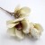 magnolia-sztuczna-galazka-kremowa-2.jpg