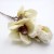 magnolia-sztuczna-galazka-kremowa-5.jpg