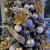 ozdoba-choinkowa-welurowa-magnolia-gold-5.jpg