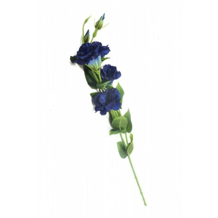 kwiat-eustoma-niebieska.jpg