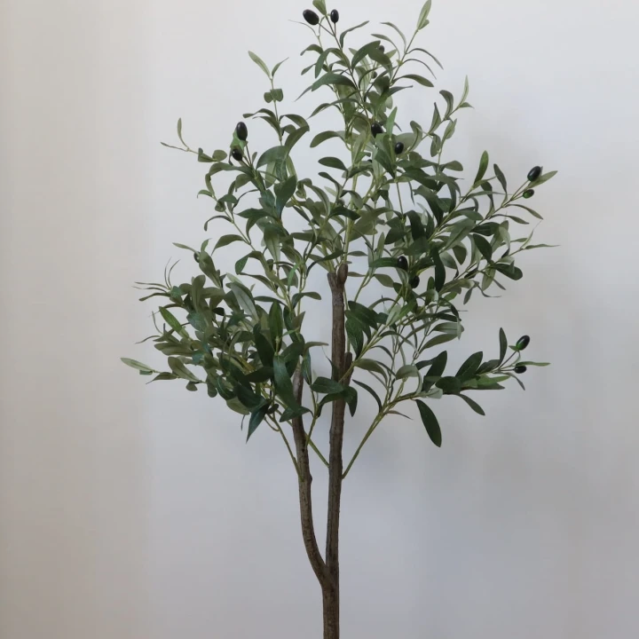 oliwka-drzewko-120-cm-3.jpg