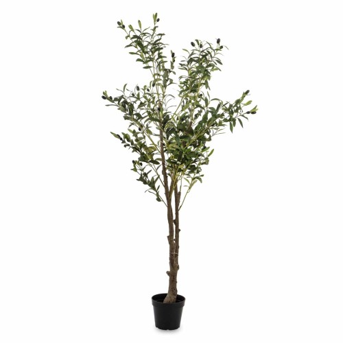 drzewko-oliwne-155-cm.jpg