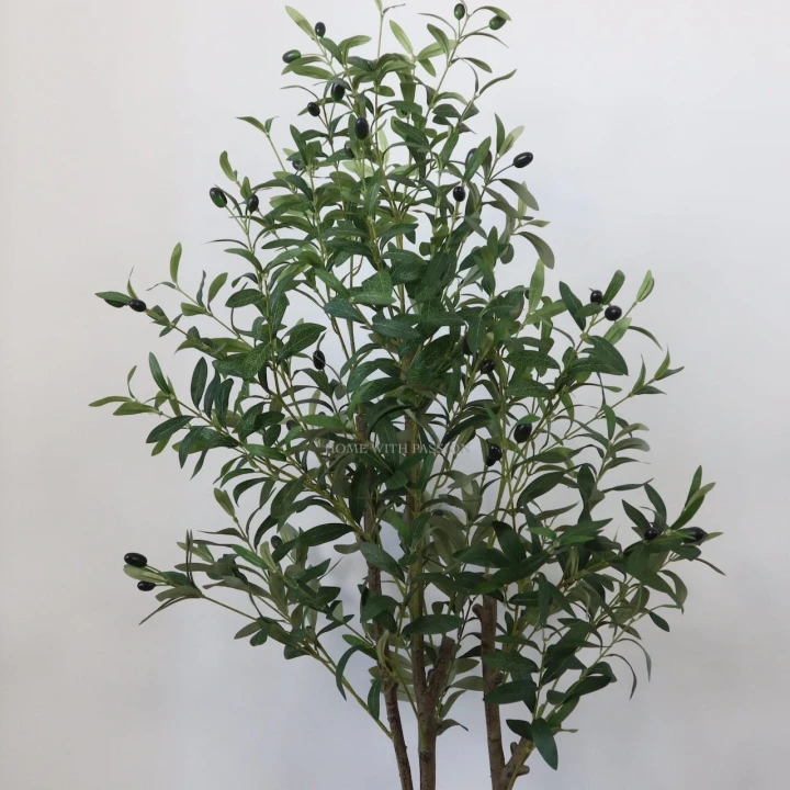 drzewko-oliwne-155-cm-5.jpg