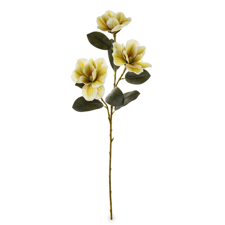 sztuczna-magnolia.jpg