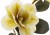 sztuczna-magnolia-3.jpg