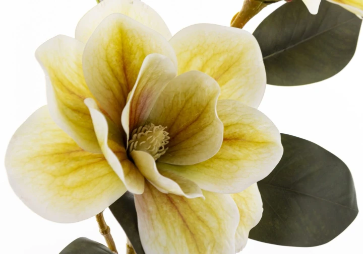 sztuczna-magnolia-3.jpg
