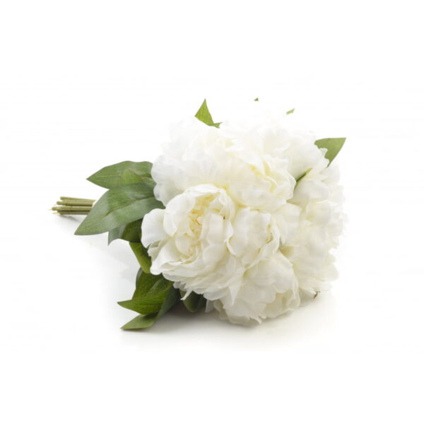 piwonia bukiet 12 białych kwiatów