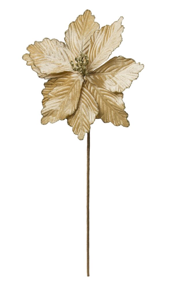 Świąteczny kwiat dekoracyjny Gwiazda Betlejemska złota welurowa