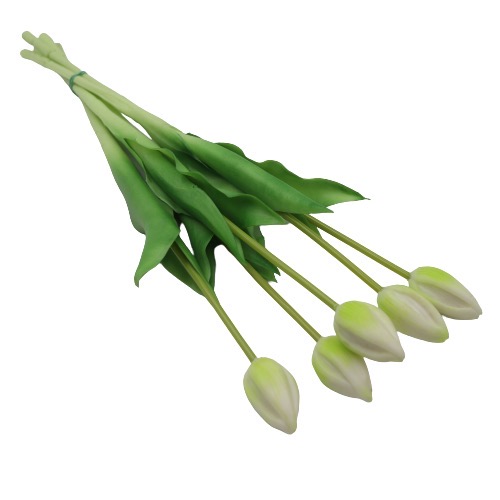 bukiet tulipanów gumowych w białym kolorze