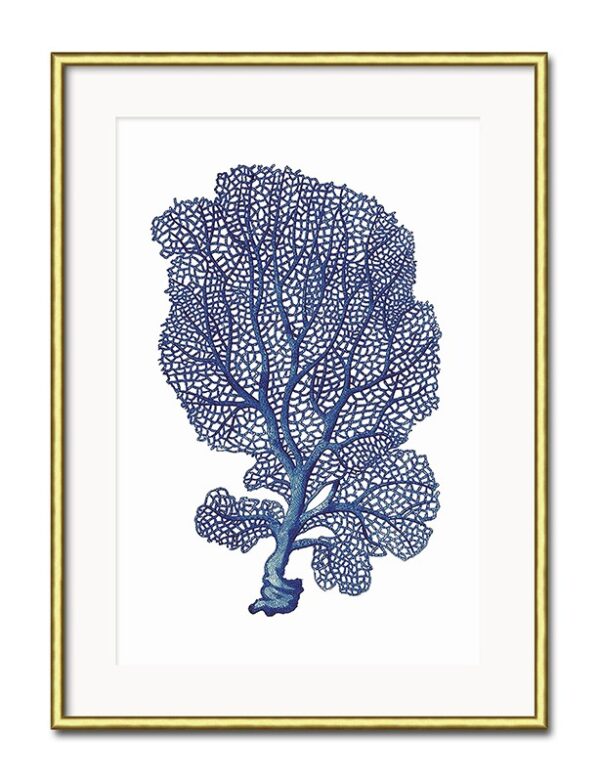 obraz marynistyczny niebieski koralowiec